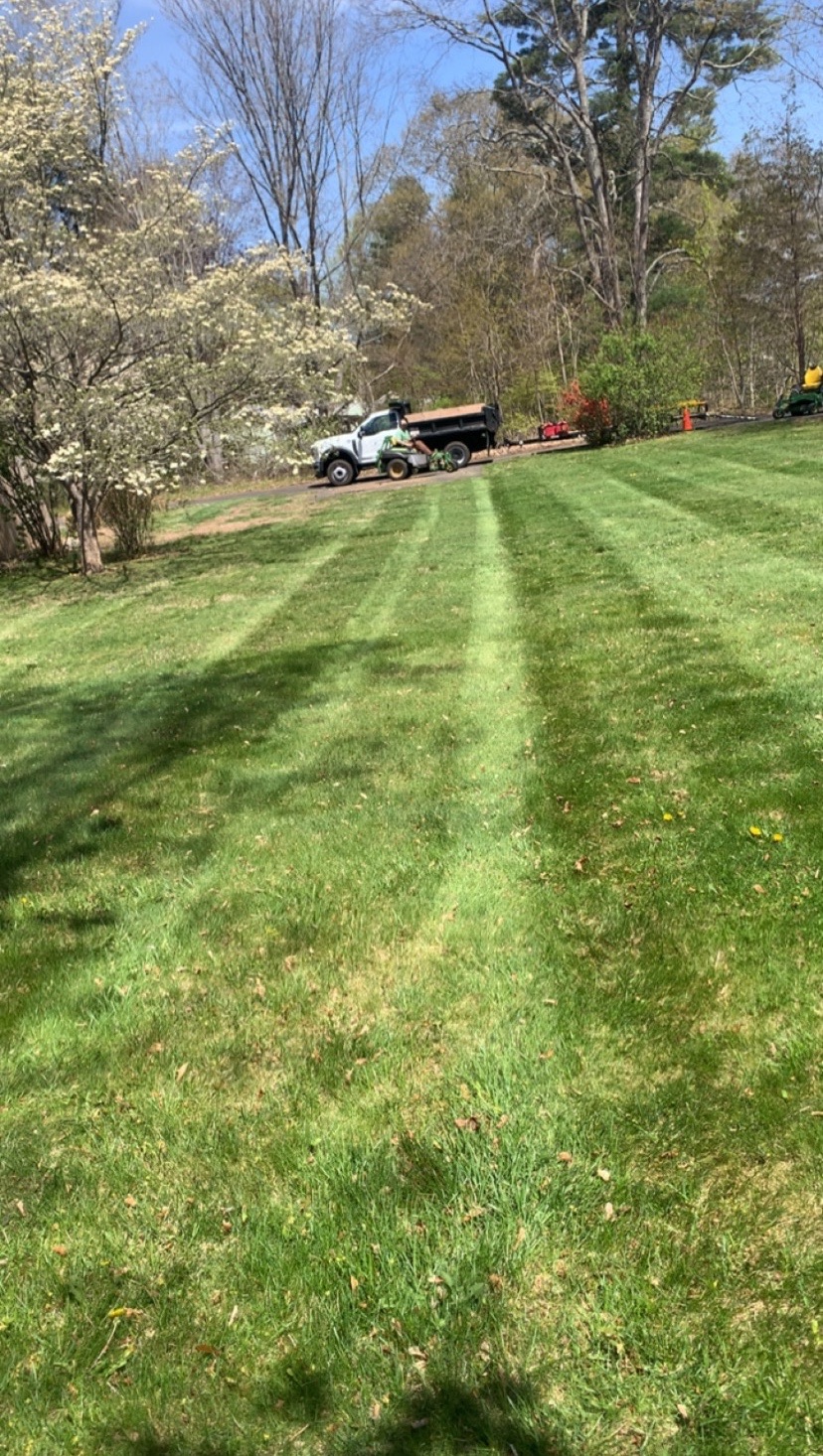 Freshly mowed striped lawn in spring with dogwoods blooming and a Country Hill dump truck in the background